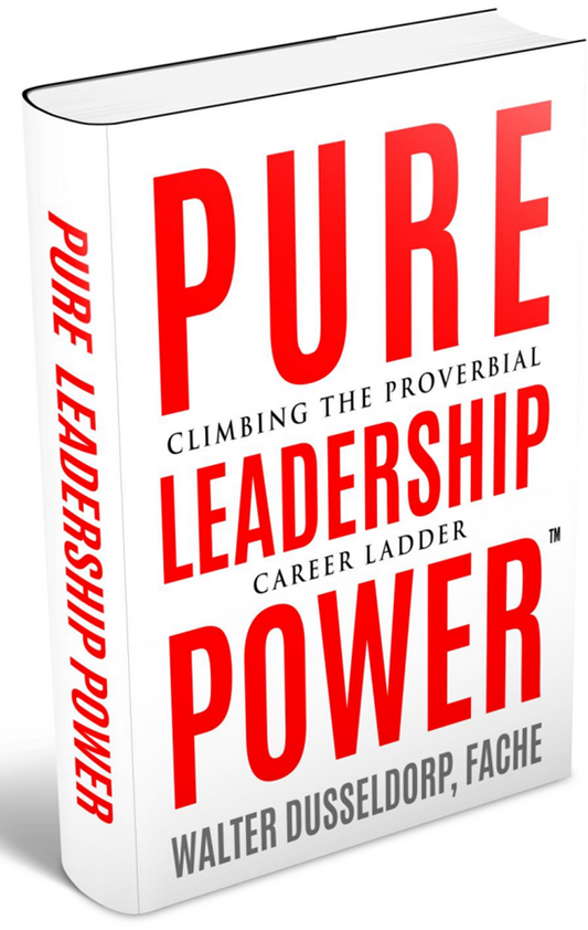 E Book Pure Leadership Power Climbing the Proverbial Career Ladder